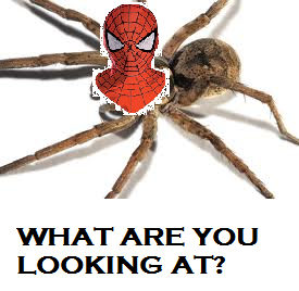 aaa.png