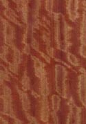suspicious wood.jpg