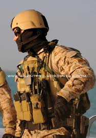 Navy-Seal.jpg